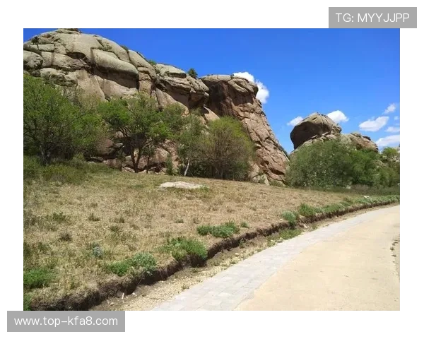 如何在闪电 21 点中运用数学概率理论进行投注 如何在闪电 21 点中运用数学概率理论进行投注